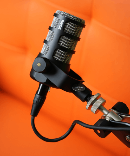 Professional Microphones - RODE